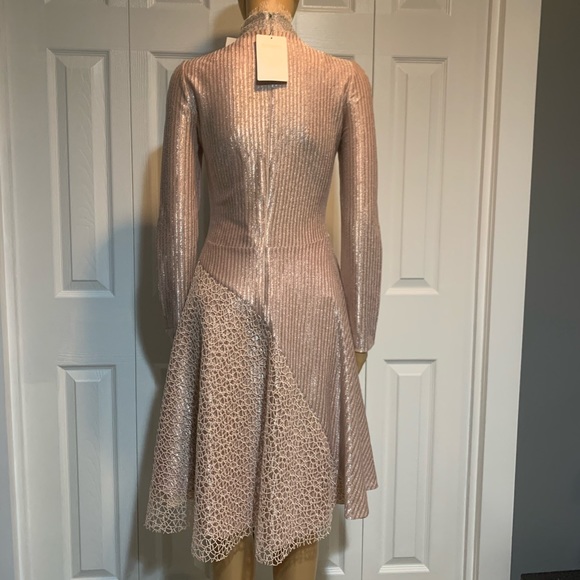 Peter Pilotto Jersey & Lace Embroidered Dress - Picture 3 of 8